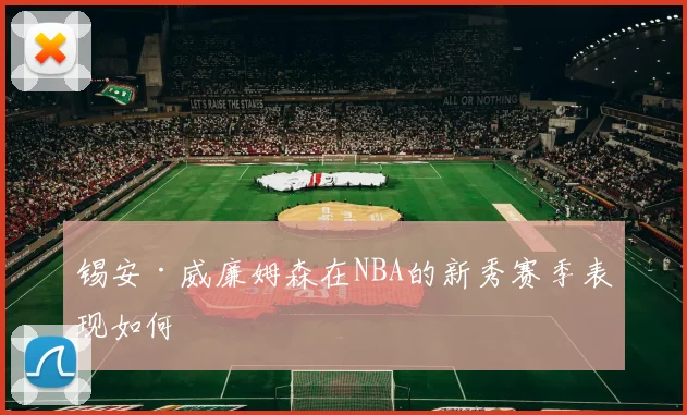 锡安·威廉姆森在NBA的新秀赛季表现如何