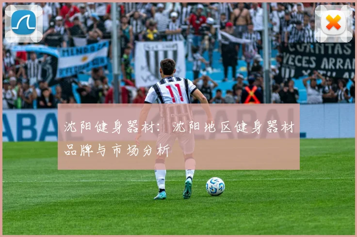 沈阳健身器材：沈阳地区健身器材品牌与市场分析