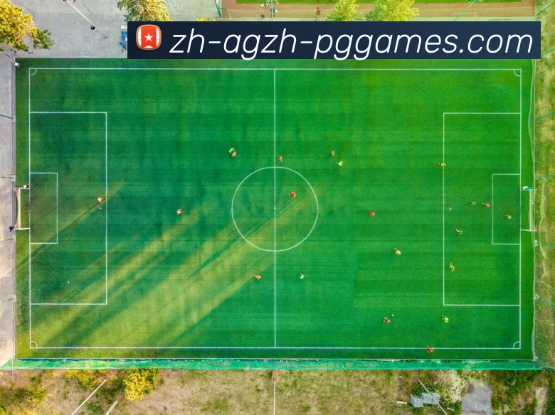 PG模拟器发展历程